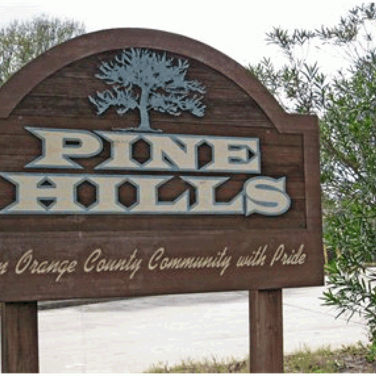 We Buy Pine Hills