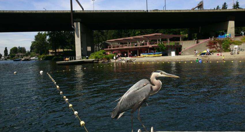 We Buy Beaux Arts Village