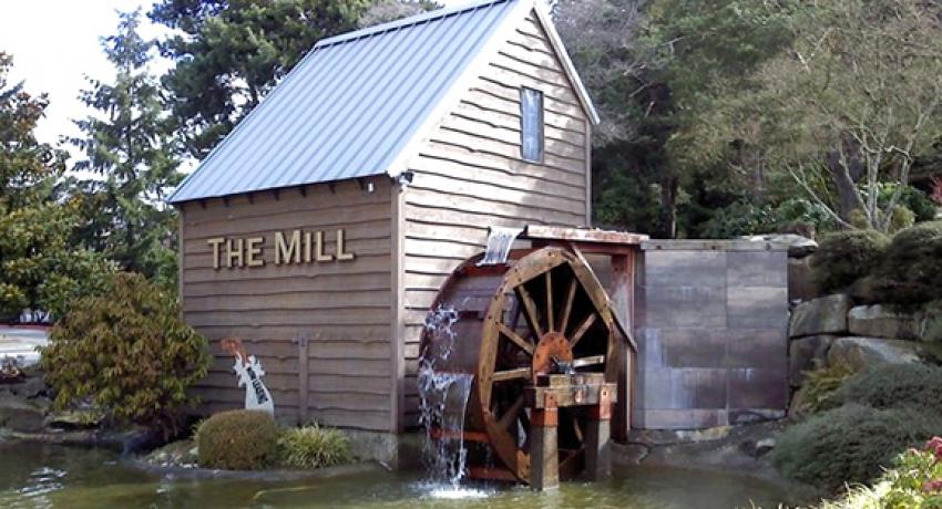 We Buy Mill Creek