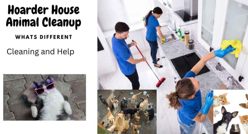 Animal Hoarder Cleanup