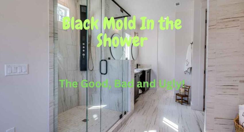 Black Mold In the Shower