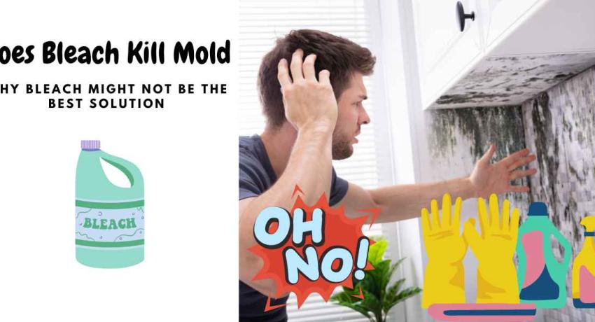 Does Bleach Kill Mold