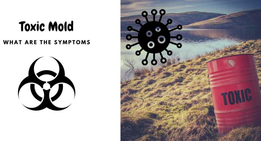 Toxic Mold Symptoms