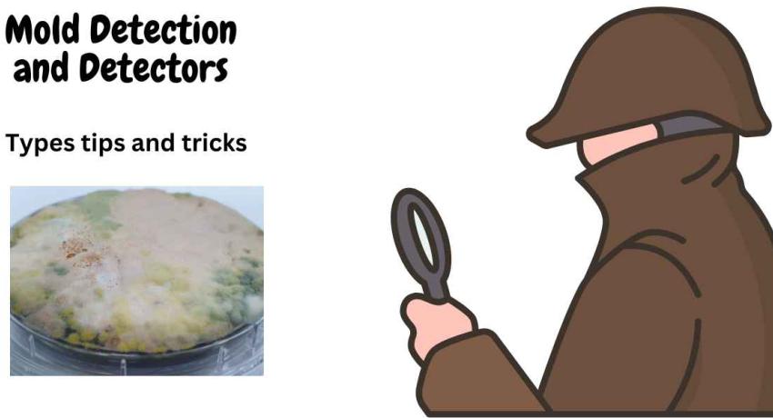 Mold Detection and Detectors
