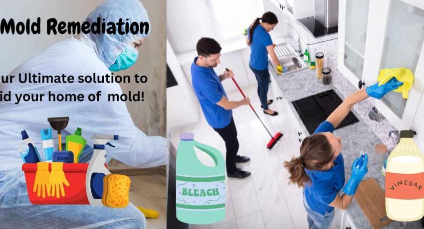 Mold Remediation