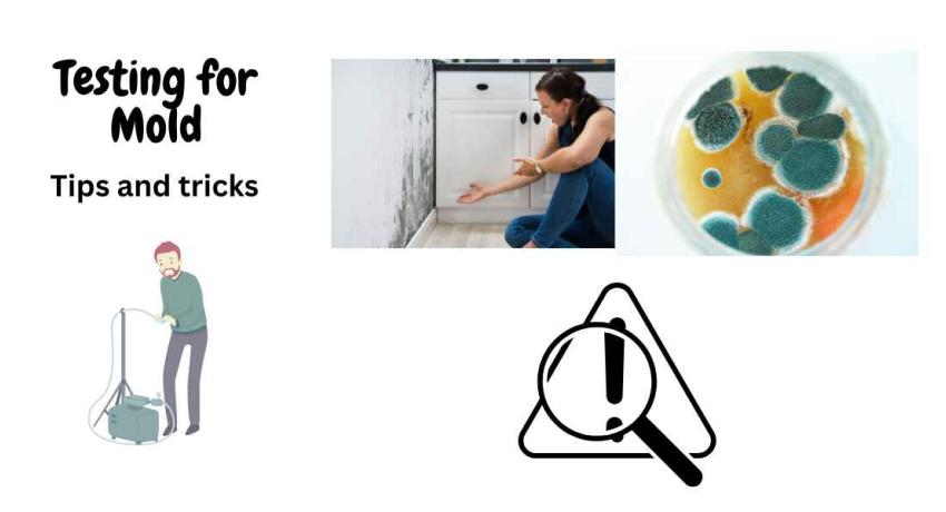 Mold Testing