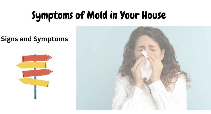Symptoms of Mold in your house
