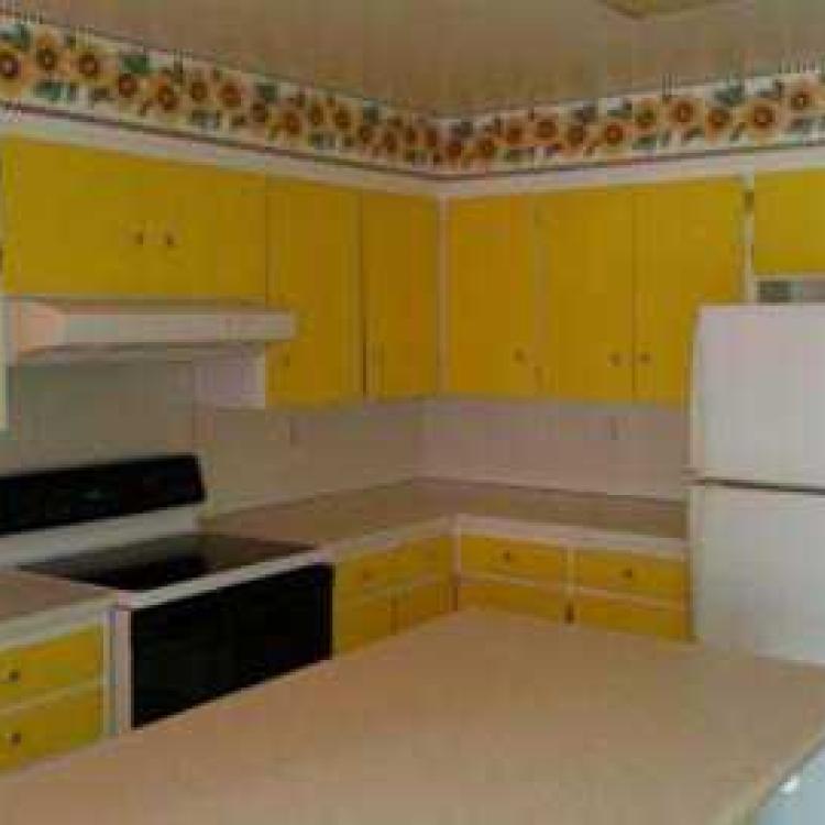 auburn before