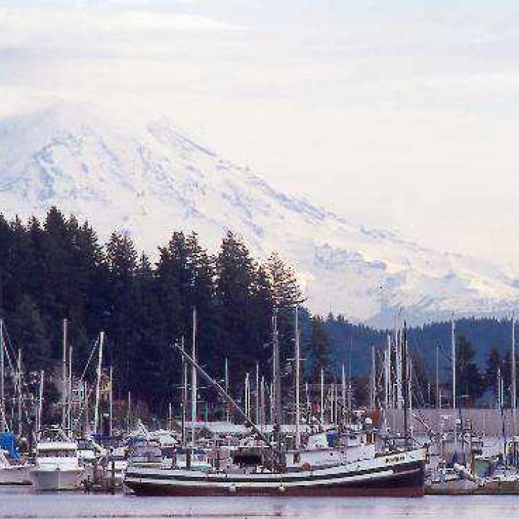 We buy Gig Harbor Houses