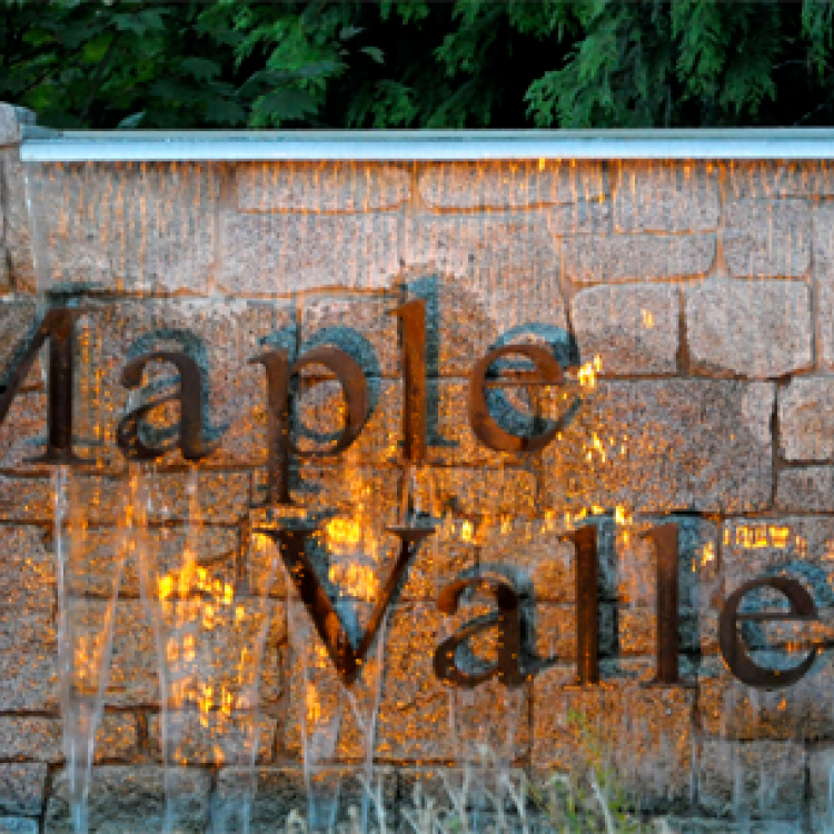 We Buy Maple Valley