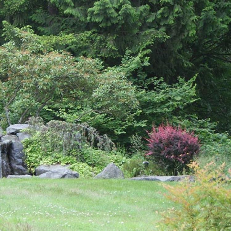 We Buy Granite Falls