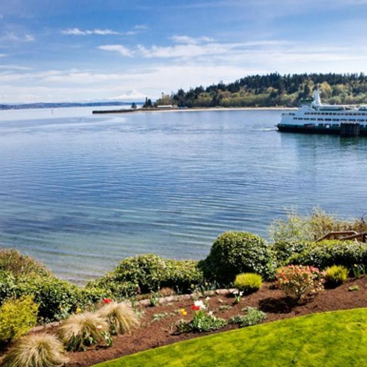 We Buy Bainbridge Island