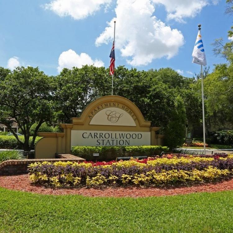 We Buy Greater Carrollwood